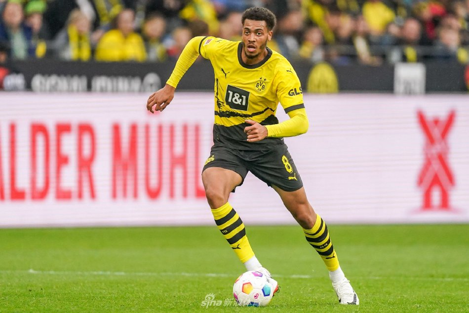 P和战术安 P和战术安